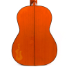 guitare acoustique orange